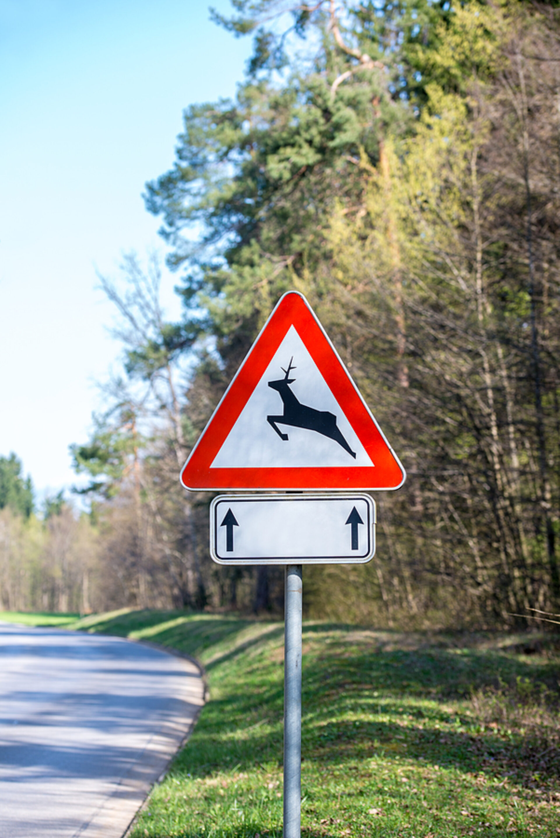 Traffic Warning Sign For Deer And Buck